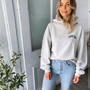 Anine Bing Light Gray Women's Hoodie